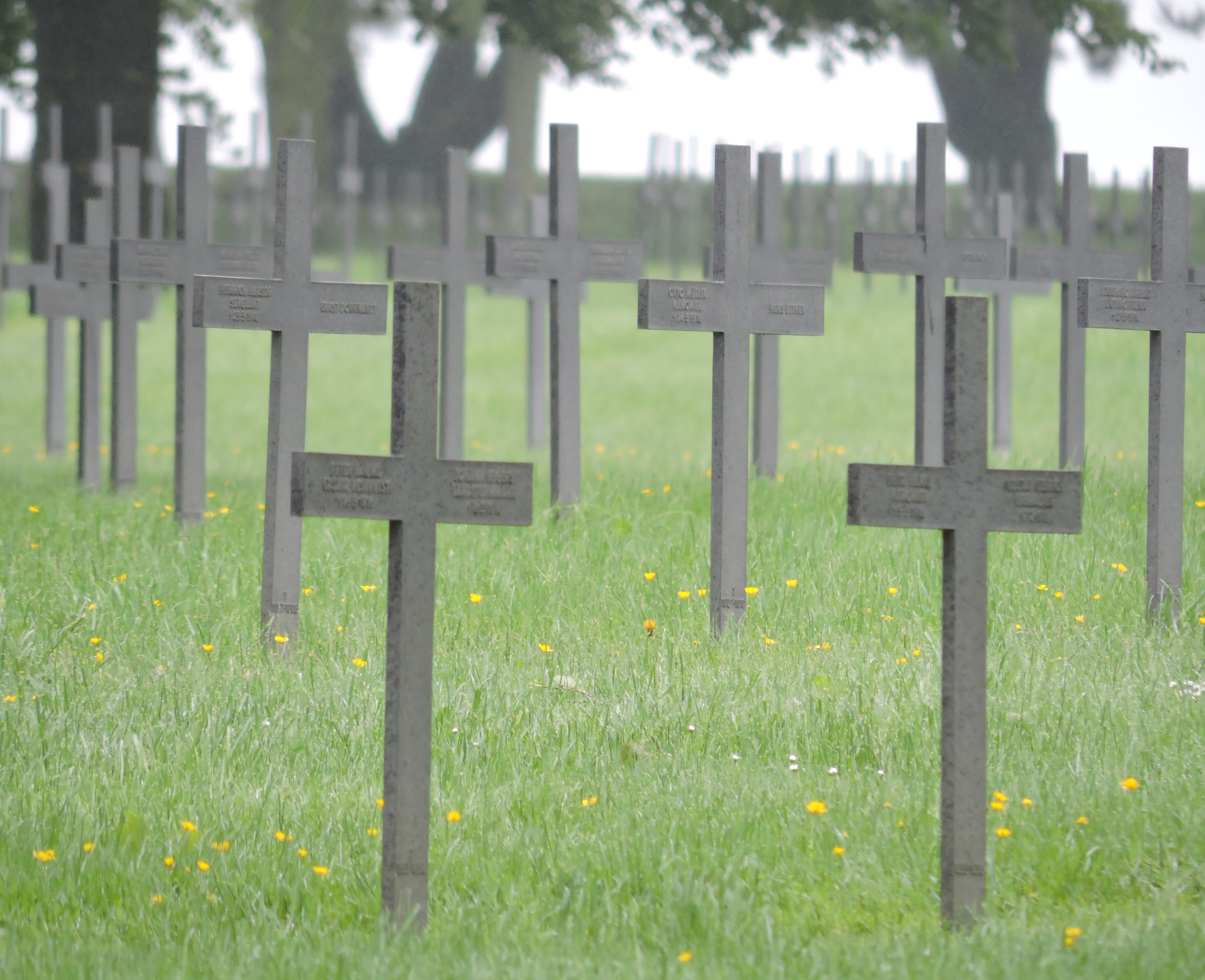 German Military Cemetery, Neuville-St.-Vaast